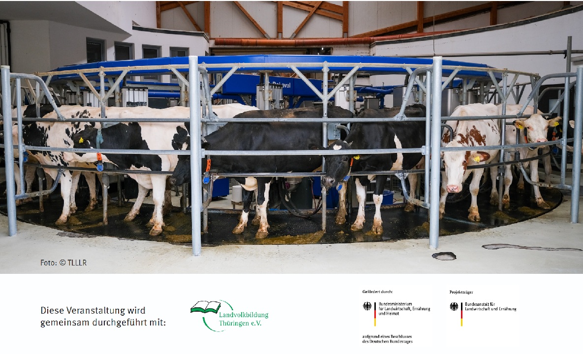 Automatisierung in der Milcherzeugung – Innovationen und Tierwohl für die moderne Milchviehhaltung