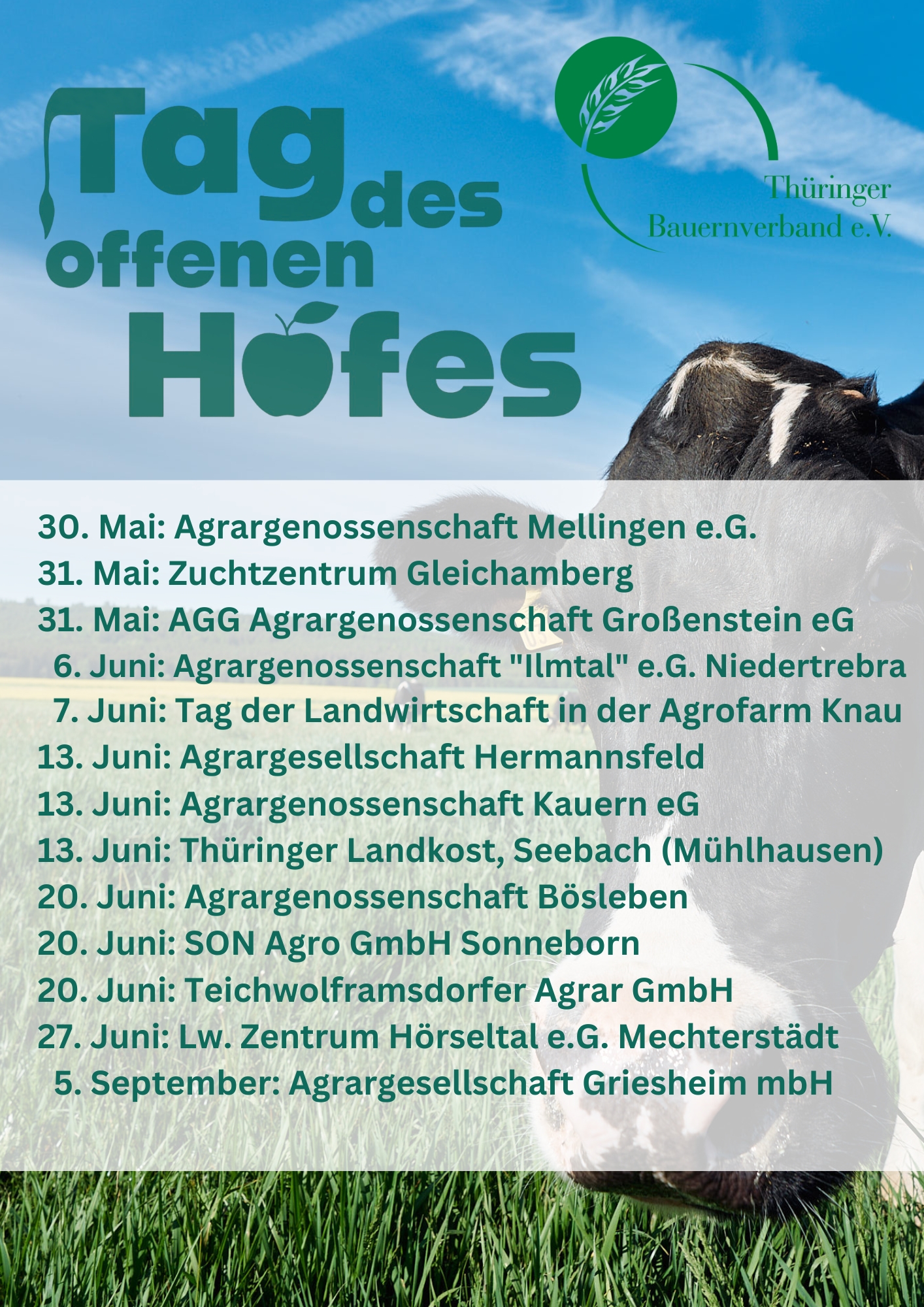 Flyer TdoH 2026 Plakat Flyer A4