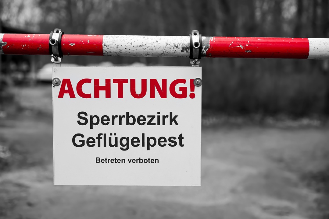 Nachweis von HPAI H5N1 in einem Geflügelhaltenden Betrieb in Thüringen
