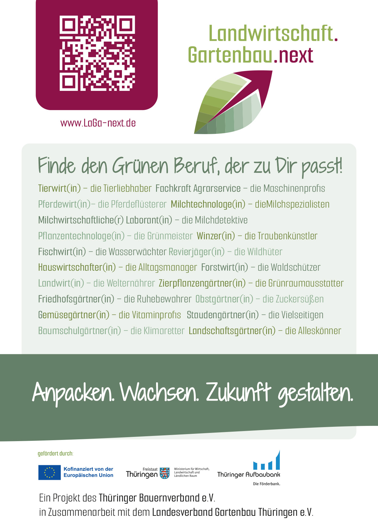 LaGa Flyer grueneBerufe