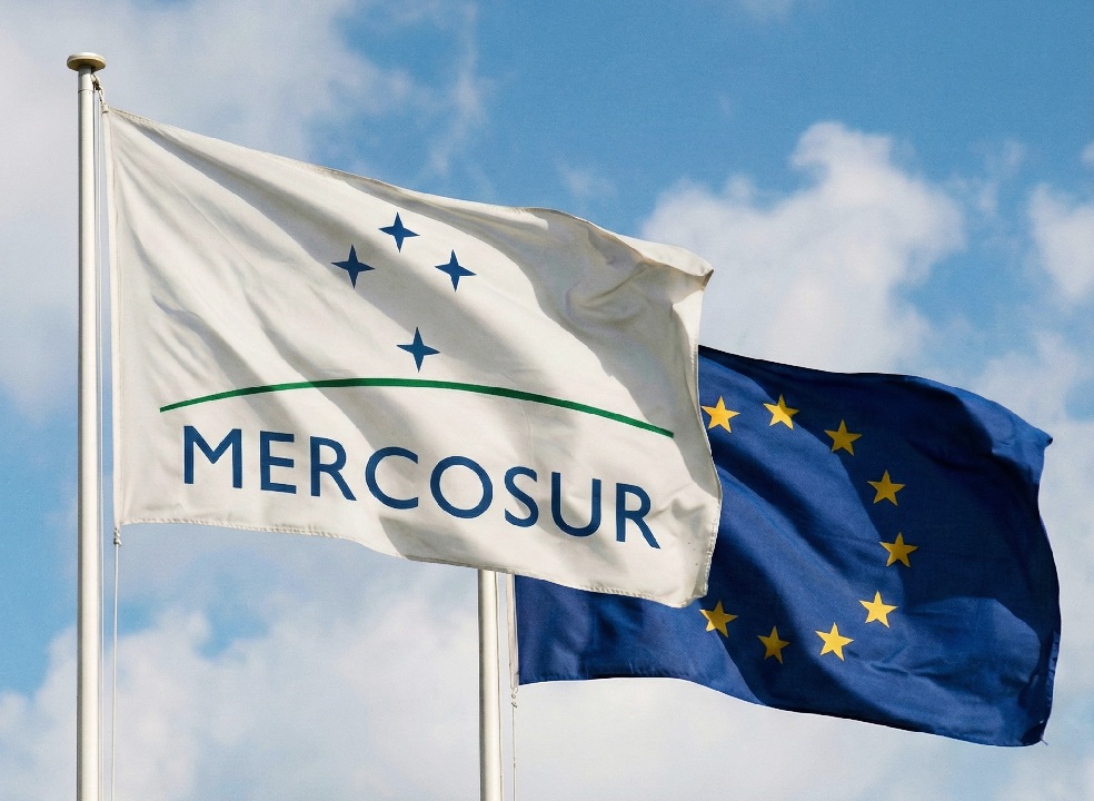 Reaktionen des TBV-Vorstandes auf das Mercosur-Thema 