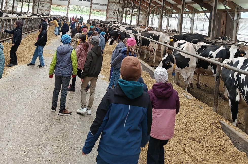 160 Schülerinnen und Schülern erleben Landwirtschaft hautnah