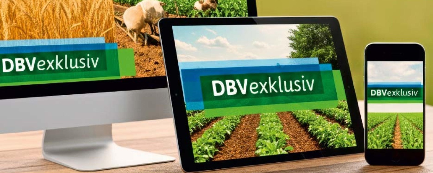 DBVexklusiv: das neue digitale Zuhause für Mitglieder des DBV