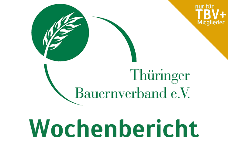 Wochenbericht 22. KW 2021