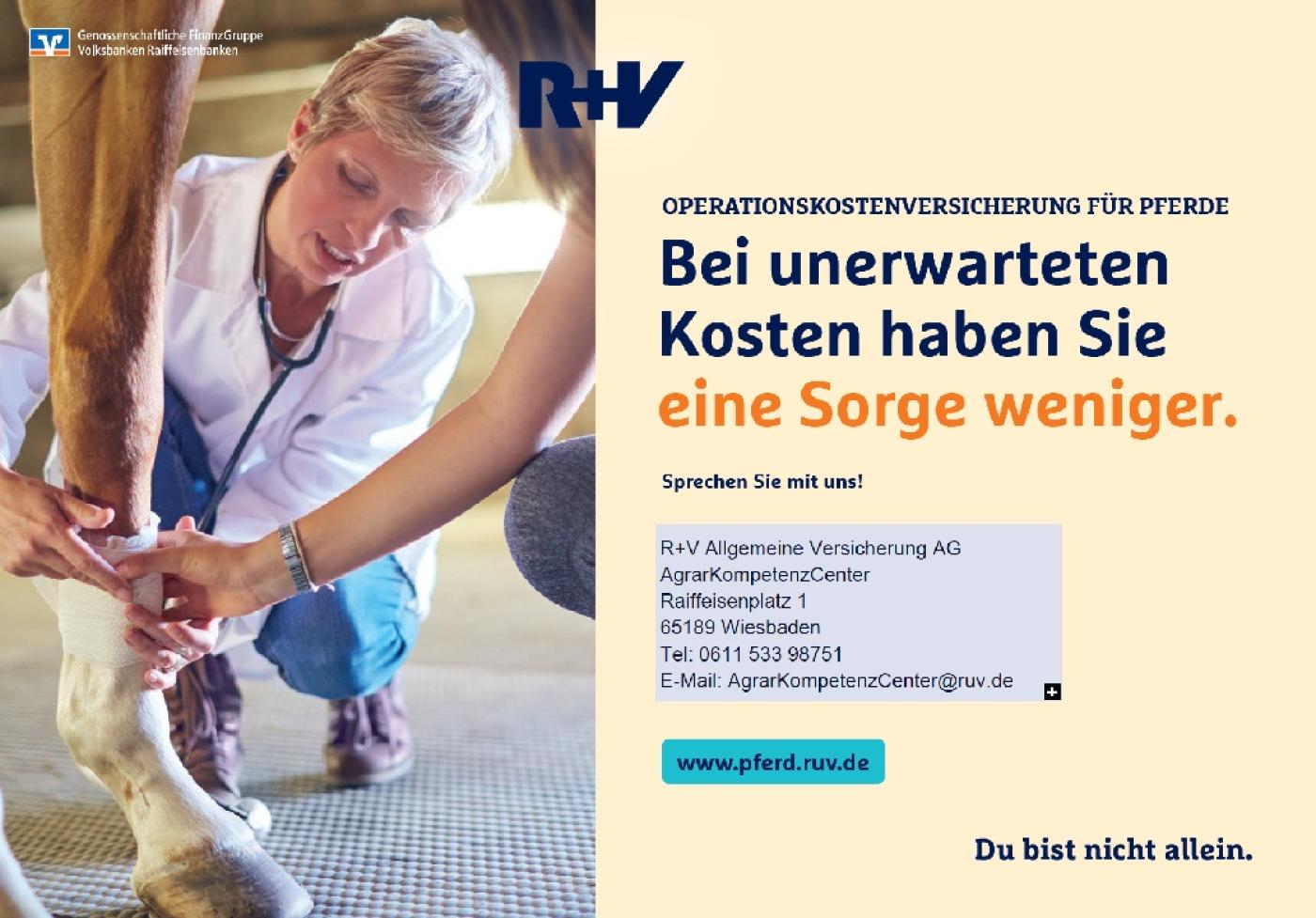 Pferd und Hund rundum gesund