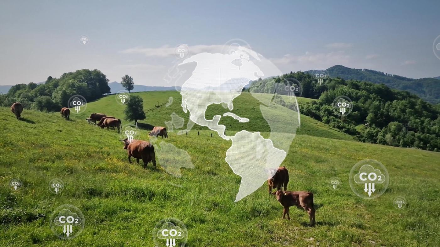 Rentenbank startet „Zinsbonus Klimabilanz“