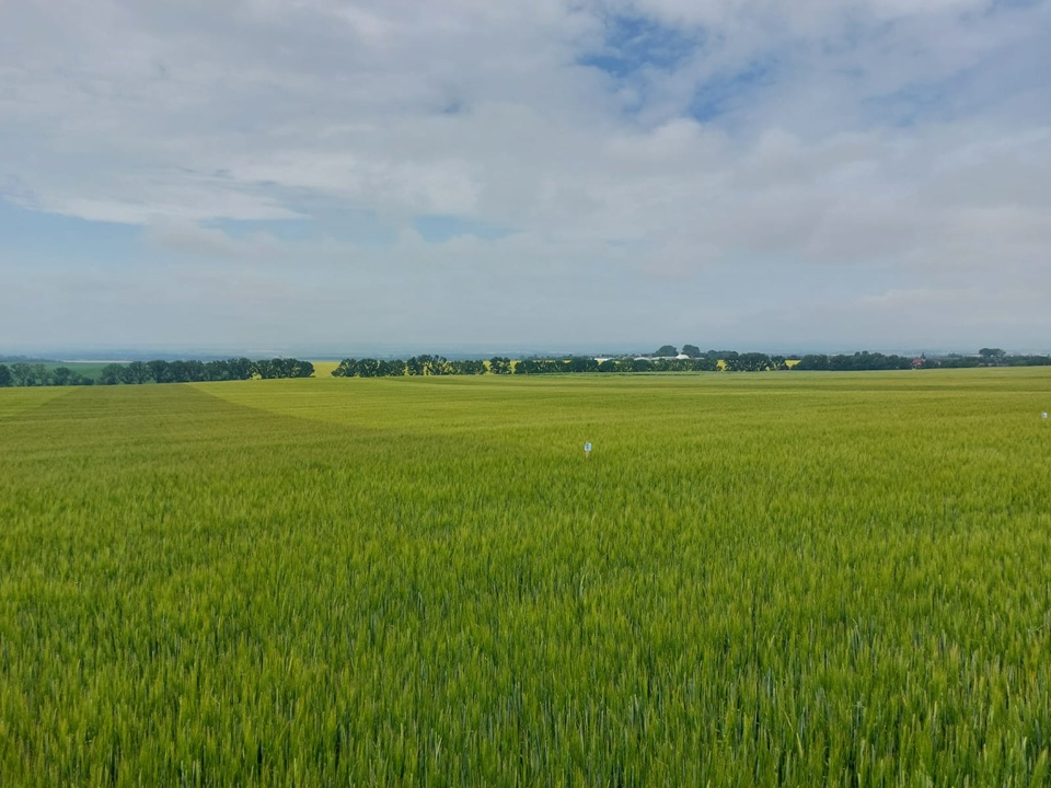 Einladung: Thüringer Braugerstenrundfahrt 2025