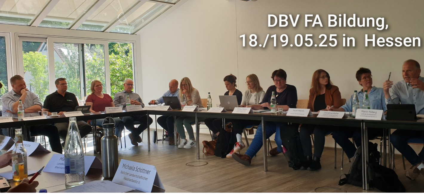 DBV-Fachausschuss Berufsbildung und Bildungspolitik tagte