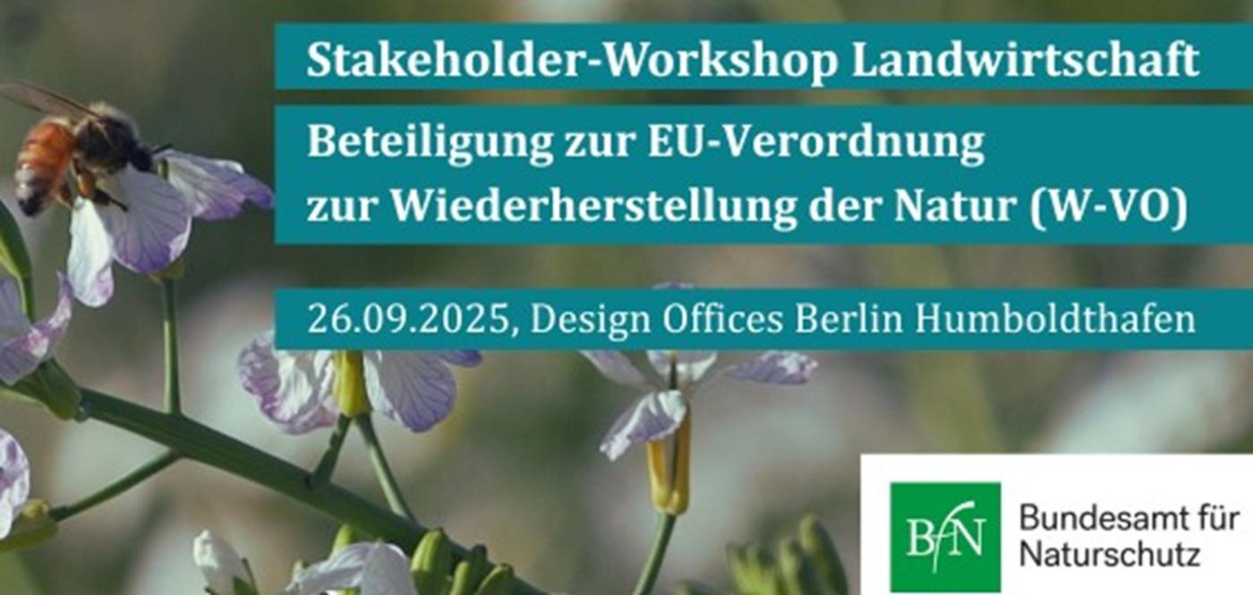 Aufruf zur Beteiligung: Natur-Wiederherstellungsverordnung