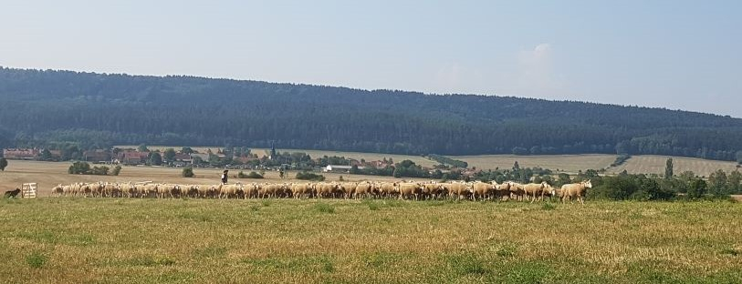 Landsenioren folgen der Einladung in Umweltministerium