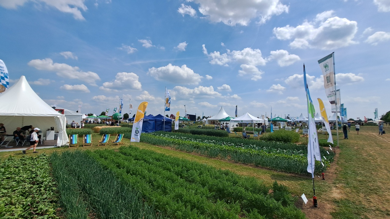 Gemeinsame Tagung Fachausschuss Getreide und Ökologischer Landbau des DBV