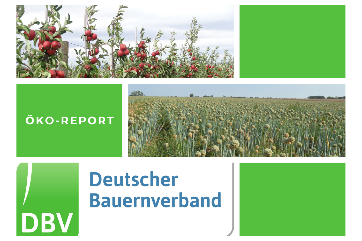 DBV Öko Report 02/2023