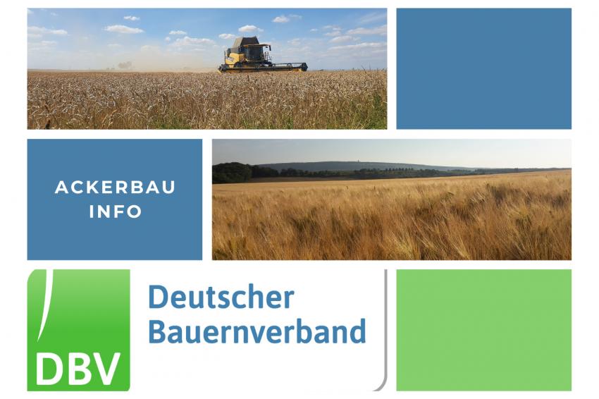 DBV Ackerbauinfo 38/2021