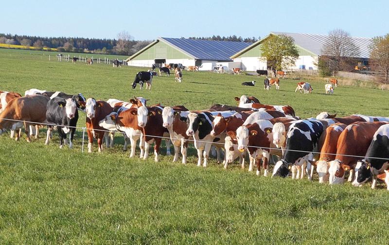 Sitzung des DBV-Fachausschusses Agrarrecht