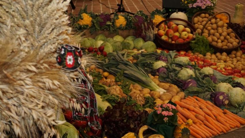 Bauernmarkt zum Landeserntedankfest in Bad Frankenhausen: Interessierte Direktvermarkter gesucht!