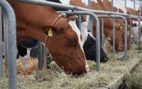 Sozialversicherung für Landwirtschaft Forsten und Gartenbau fördert wieder Präventionsprodukte