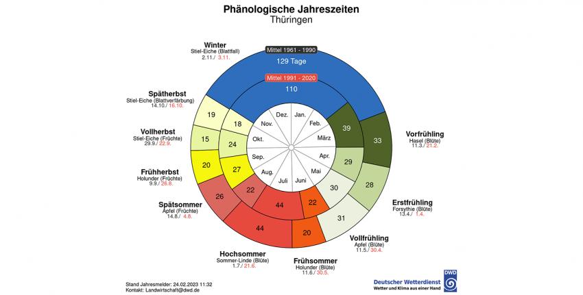 Phänologische Beobachtungen für den DWD