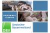Bauerninfo Schwein 07/2022