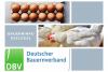 DBV Bauerninfo Geflügel 07/2022