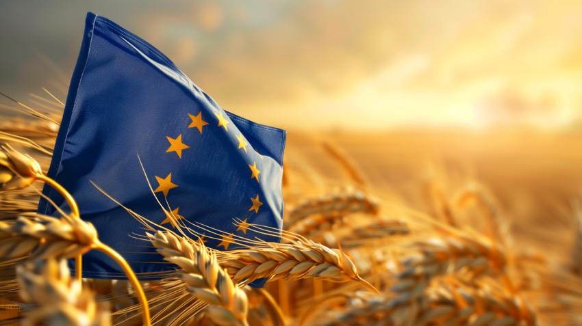 Breite Kritik an Kommissionsvorschlägen zu Finanzrahmen und GAP