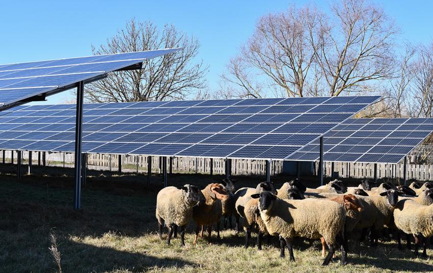 Sozialversicherung für Landwirtschaft, Forsten und Gartenbau: Rückwirkende Erstattung zu viel gezahlter Beiträge für Betrieb kleiner Photovoltaikanlagen