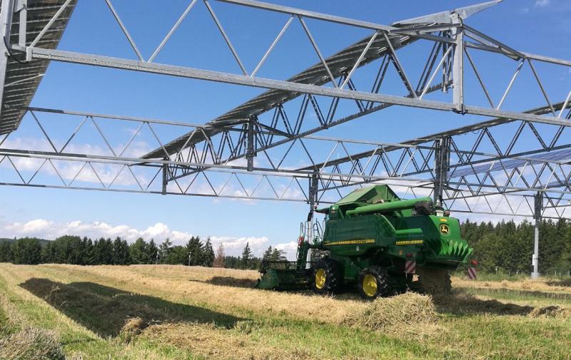 Welche Potenziale hat Agri-Photovoltaik?
