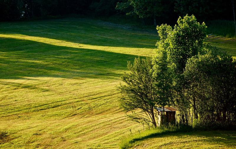 Feldtag: Dauergrünland im Biobetrieb – erfolgreiche Bewirtschaftung und Verwertung