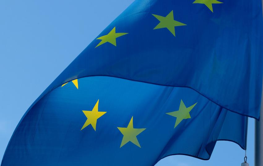 Deutscher Bauernverband veröffentlicht Kernanliegen zur Europawahl 2024