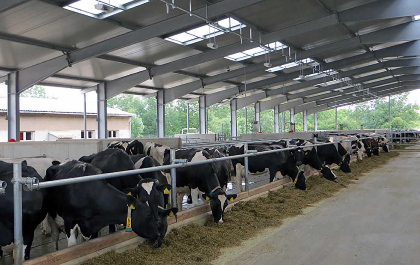 DBV-Fachausschuss Milch: Zwischen Stabilisierung des Milchmarktes und staatlichen Eingriffen in die Lieferbeziehung