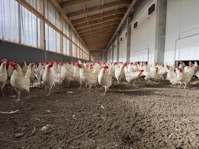 Fördermöglichkeiten: Von Liquiditätssicherung bis alternative Antriebssysteme