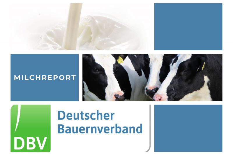 DBV Milchinfo 29/2021