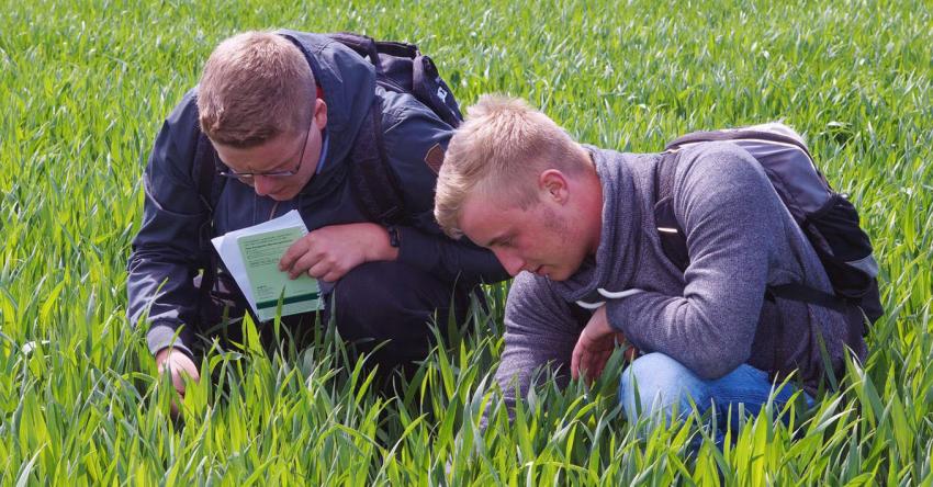 Hochschule Anhalt in Bernburg startet neuen Masterstudiengang Landwirtschaft – Bewerbungsfrist endet am 15. März