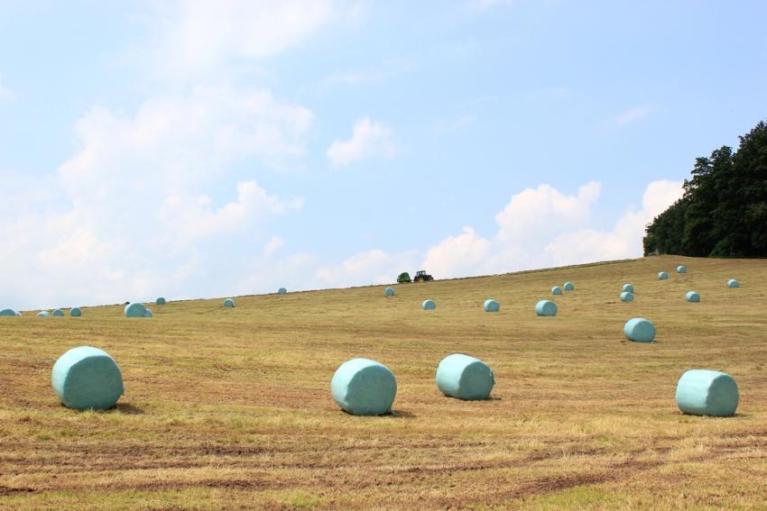 TBV-Futterbörse für alle landwirtschaftliche Betriebe in Thüringen: Angebote und Gesuche kostenlos einstellen!