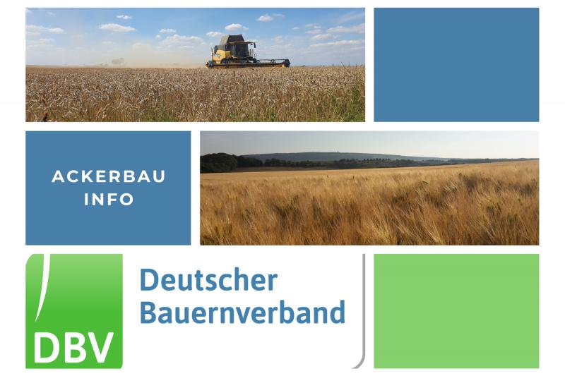 DBV Ackerbauinfo 38/2025