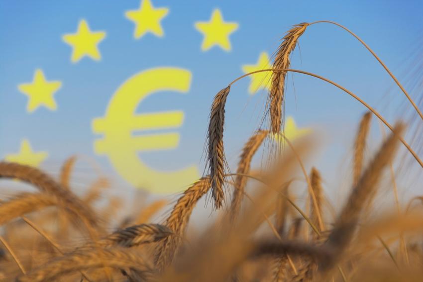 Von der Leyens Finanzplan: Weniger Fonds, mehr Strategie und Druck auf die Landwirtschaft