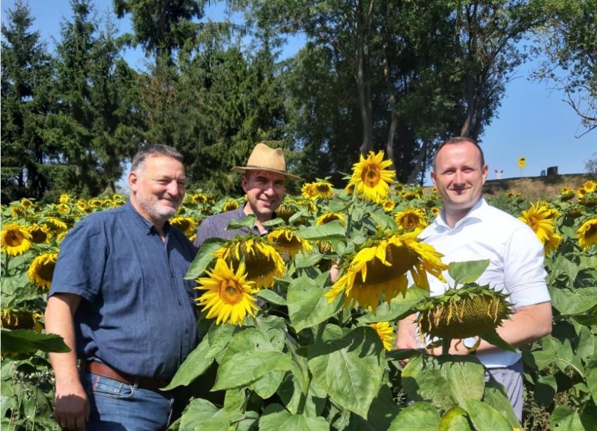 (v.l.) Ralf Voit, Vorstandsvorsitzender Agrofarm Knau eG, Gunnar Jungmichel, Vorsitzender Kreisbauernverband SOK, Christian Herrgott, Landrat des Saale-Orla-Kreises