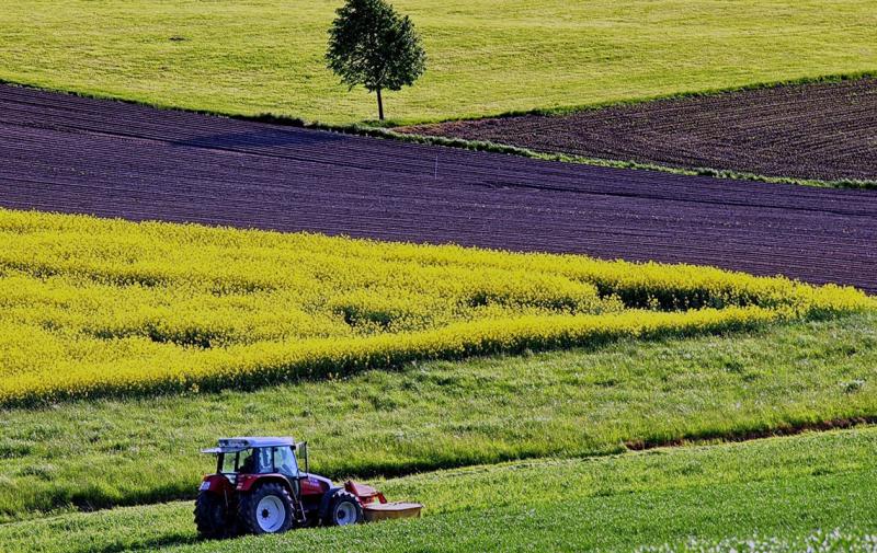 Verwertungsstopp von Flächen der Bodenverwertungs- und -verwaltungsgesellschaft (BVVG)