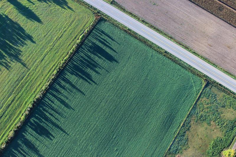 Flächenmonitoring seit 2022 ganzjährig scharf und ab 2023 Pflicht zur Mitwirkung