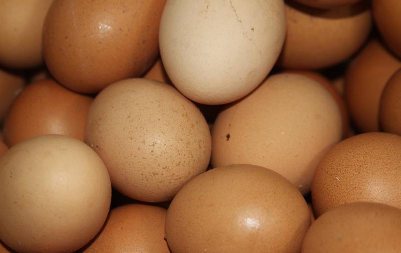 Fachausschuss Eier und Geflügel des Deutschen Bauernverbandes tagte