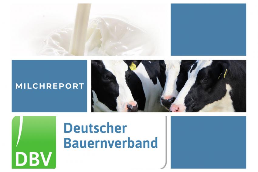 DBV Milchinfo 43/2025